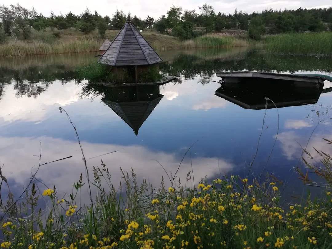 Ministry of Forestry and Water Affairs Eskişehir Provincial Forestry Area — Eskişehir — küçük resim 3