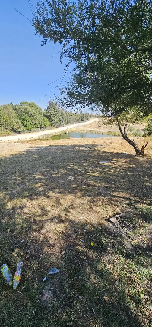 Ministry of Forestry and Water Affairs Eskişehir Provincial Forestry Area — Eskişehir — küçük resim 2