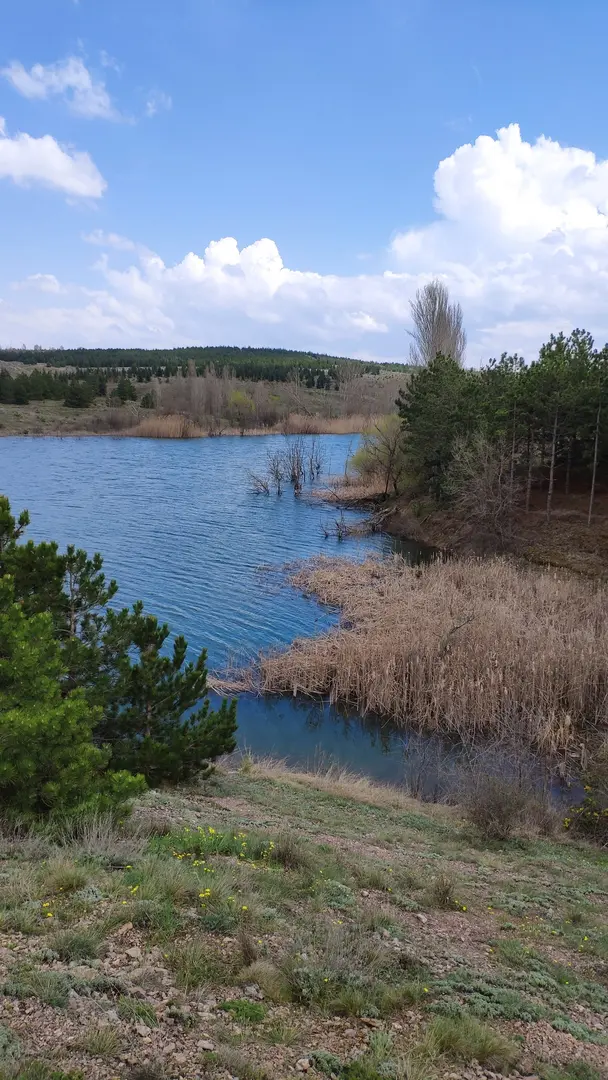 Ministry of Forestry and Water Affairs Eskişehir Provincial Forestry Area — Eskişehir — küçük resim 5