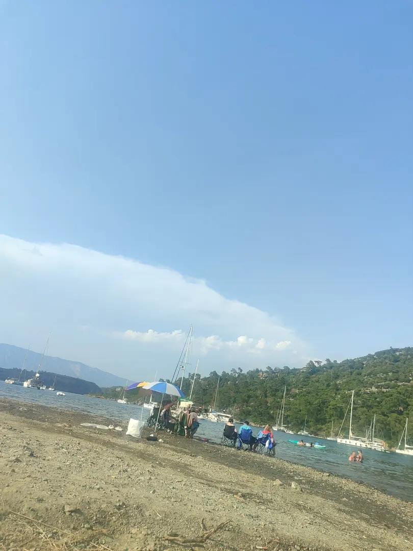 Karacasöğüt Forest Area — Muğla — küçük resim 2