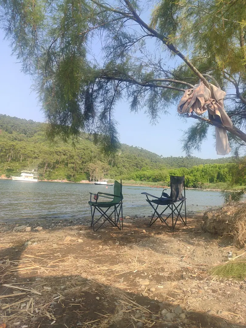 Karacasöğüt Forest Area — Muğla — küçük resim 4