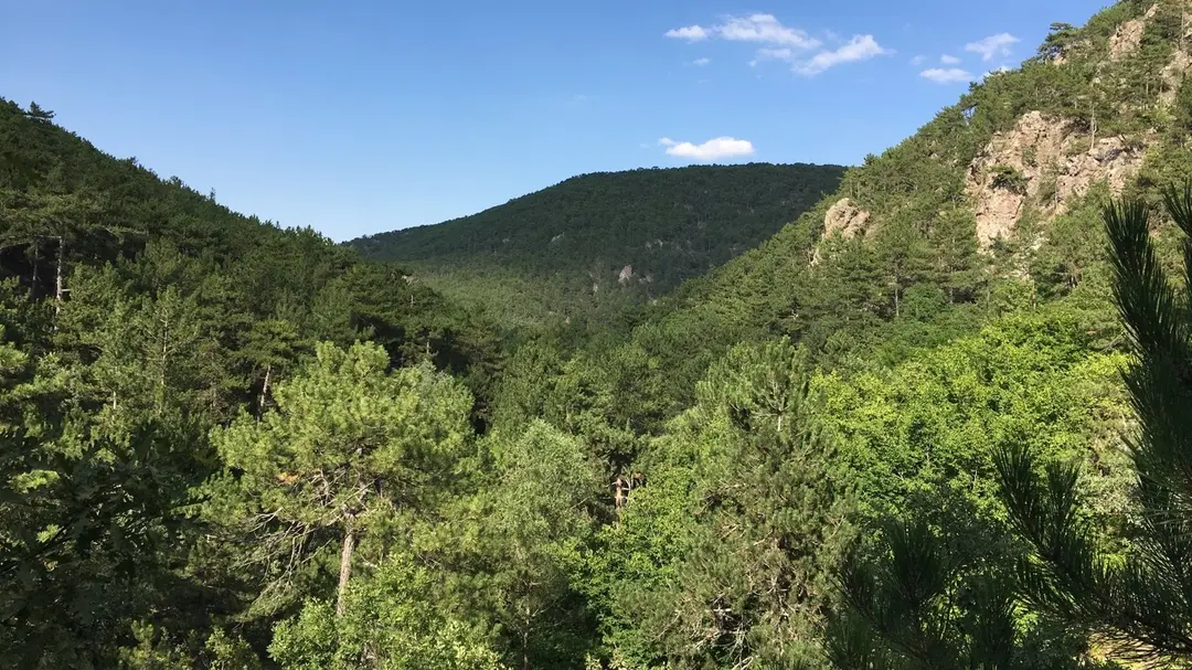 Şelale Mesire Yeri — Eskişehir — küçük resim 3