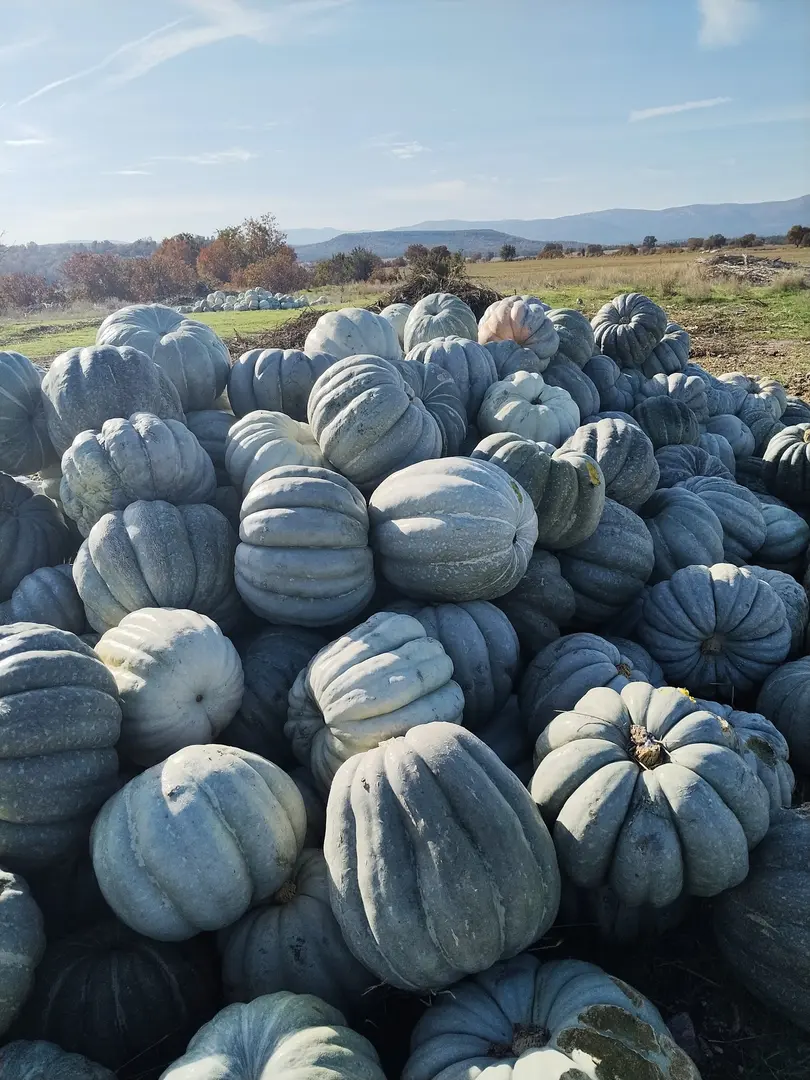 Kavacık Plateau — Eskişehir — küçük resim 5