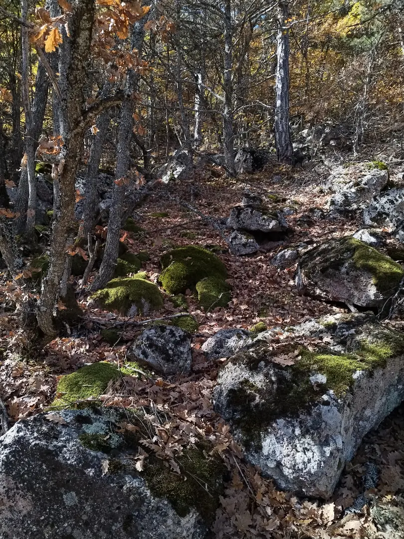 Kavacık Plateau — Eskişehir — küçük resim 2