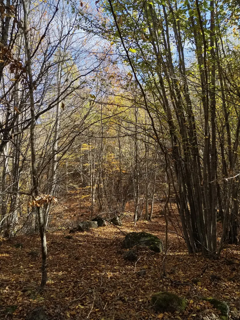 Kavacık Plateau — Eskişehir — küçük resim 4