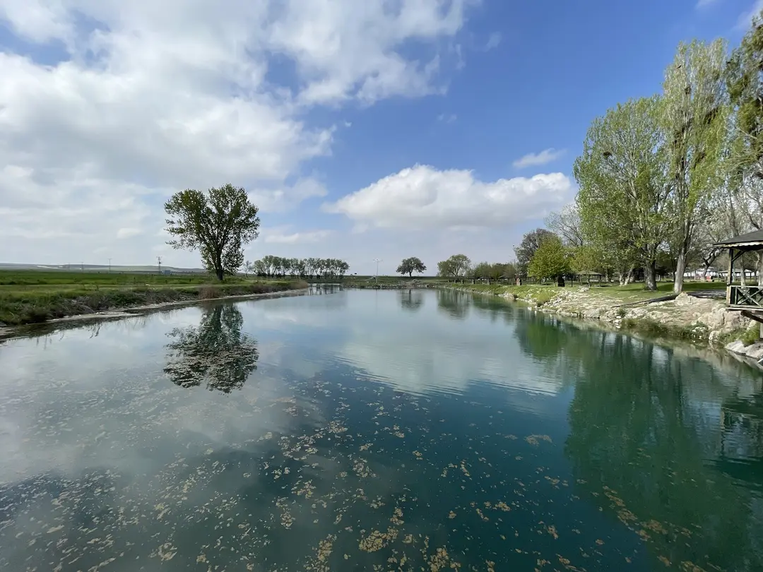 Sakarya Bashi Picnic Area — Eskişehir — küçük resim 10