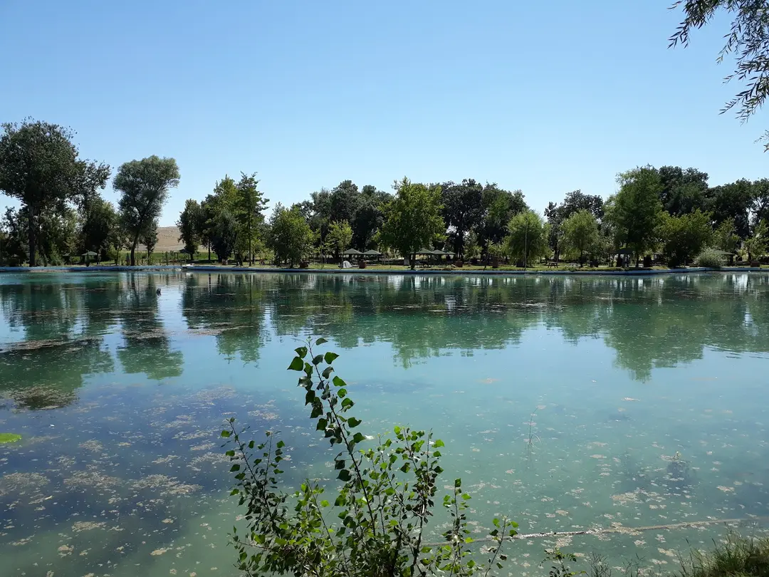 Sakarya Bashi Picnic Area — Eskişehir — küçük resim 6