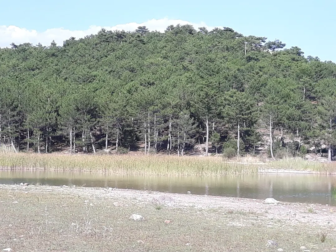 Büyükyayla Göllet — Eskişehir — küçük resim 4