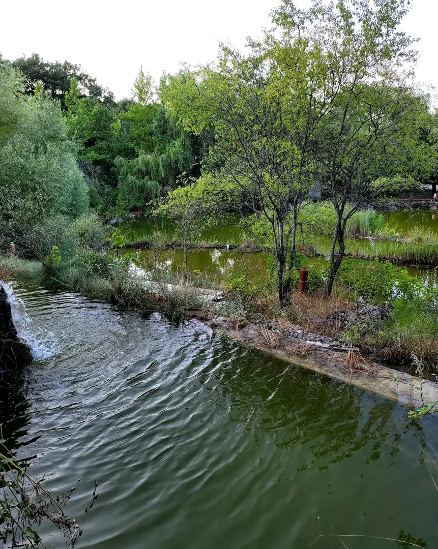 Kozlu Mountain Houses — Eskişehir — küçük resim 3