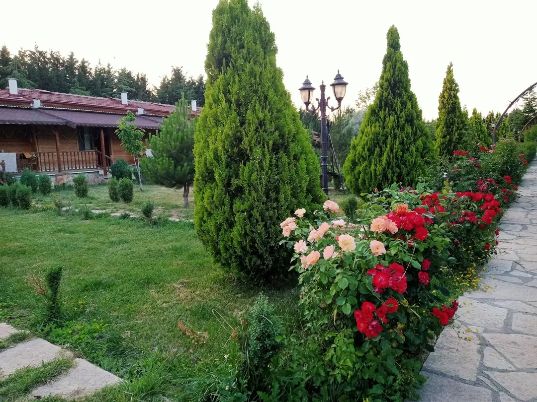 GÜVENPARK ÇİFTLİĞİM wedding, barbecue, accommodation, restaurant, bungalow with heated pool — Eskişehir — küçük resim 4