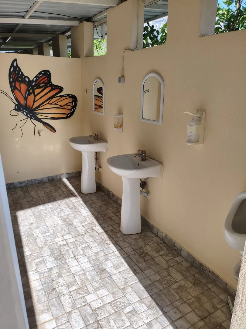 Seedless Mandarin Camping — Antalya — küçük resim 3