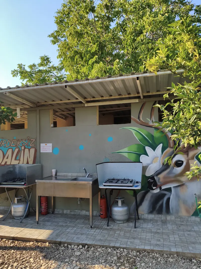 Seedless Mandarin Camping — Antalya — küçük resim 4
