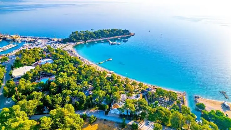 Seedless Mandarin Camping — Antalya — küçük resim 6