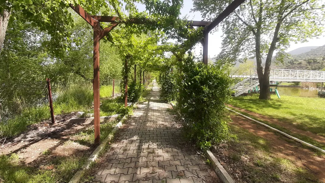 Tümsek Ferien Therapie und Unterhaltungszentrum — Eskişehir — küçük resim 8