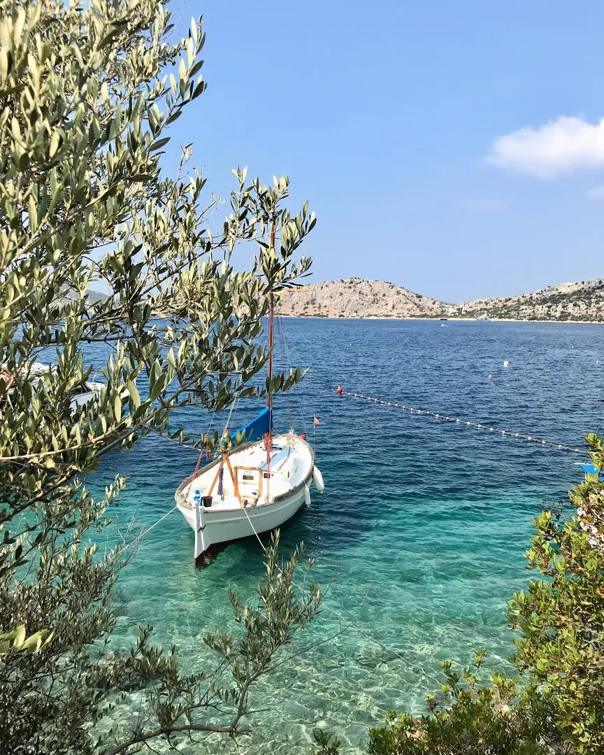 Söğüt Tinyhouse Glamping — Muğla — küçük resim 7