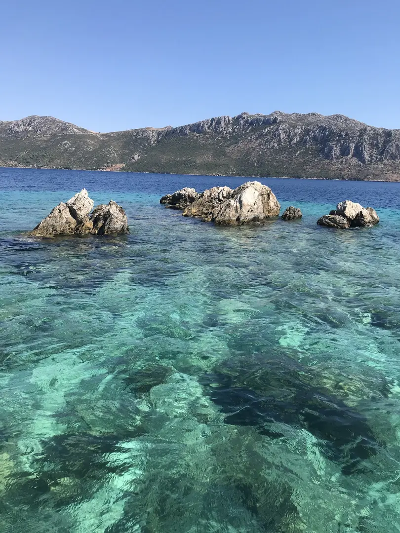 Söğüt Tinyhouse Glamping — Muğla — küçük resim 6