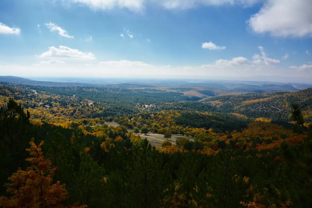 Çatacık Forest Management Recreation Area — Eskişehir — küçük resim 5