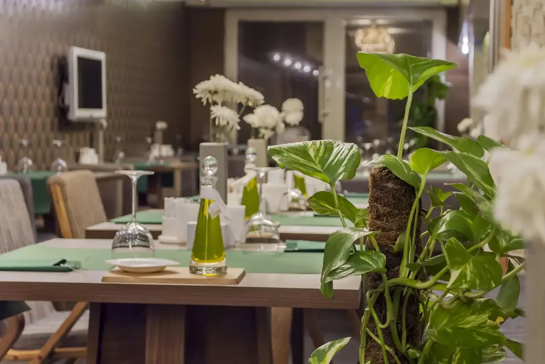 Arvenya Glamping — Eskişehir — küçük resim 6