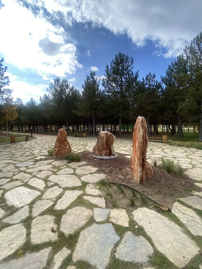 Tepe Camp and Nature Living Area — Eskişehir — küçük resim 6