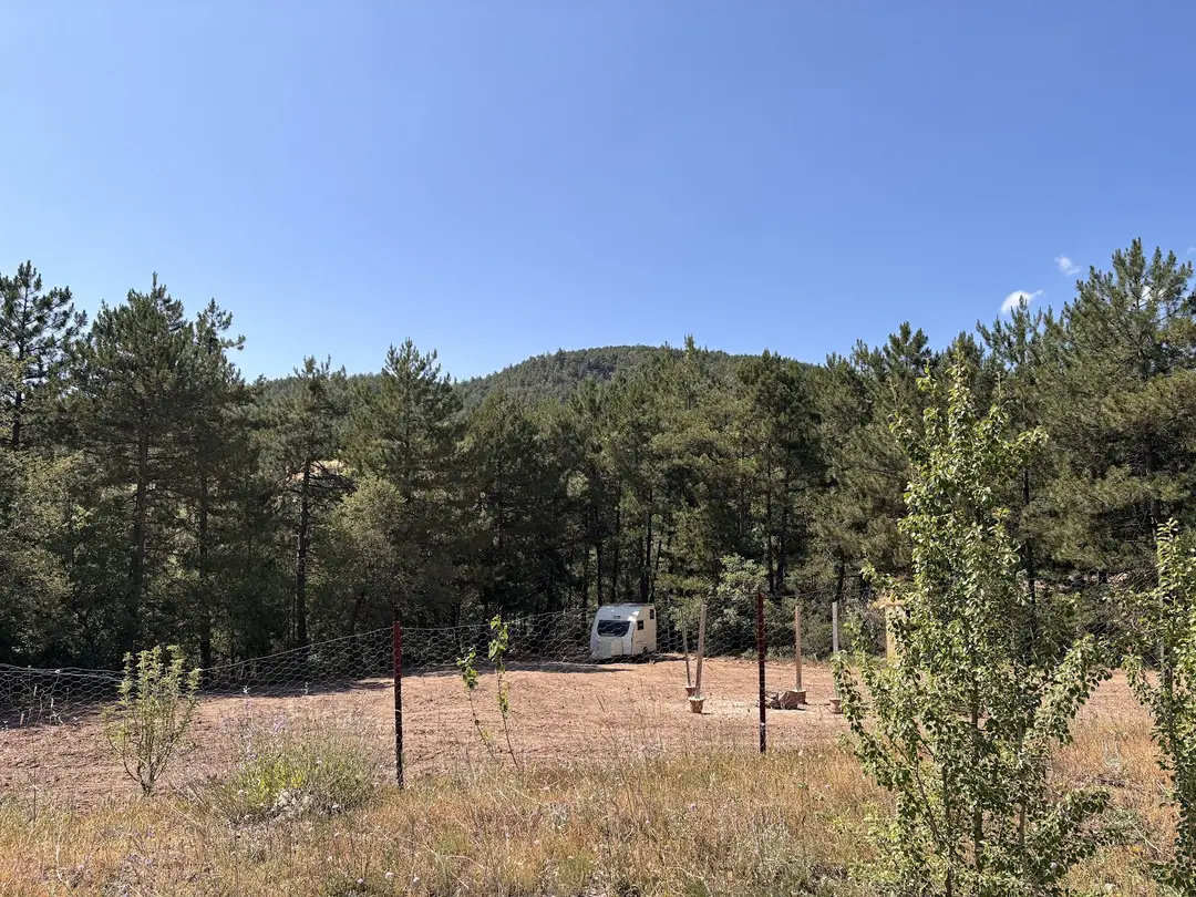 Kuyutorman Camping — Bilecik — küçük resim 5