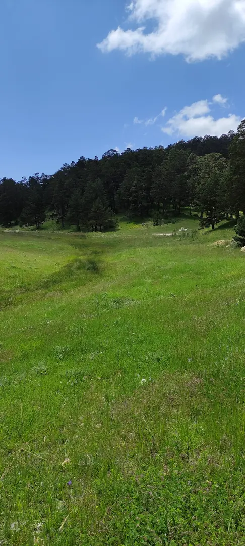 Eğriçimen Yaylası Camping Area — Sivas — küçük resim 7