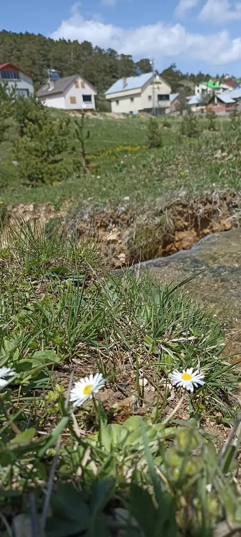 Eğriçimen Yaylası Camping Area — Sivas — küçük resim 4