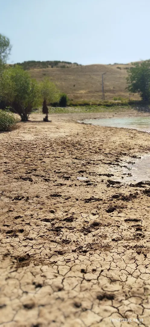 Serpincik Lake — Sivas — küçük resim 3