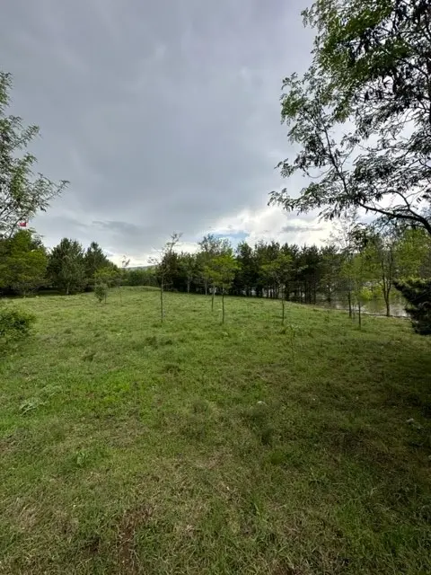 Kamp Alanı (Camping Area)