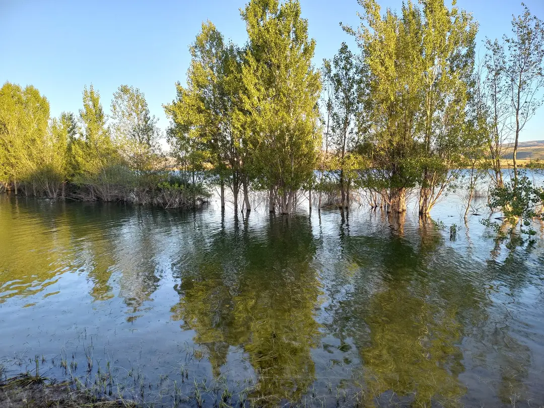 Gölova Camping Area — Sivas — küçük resim 8