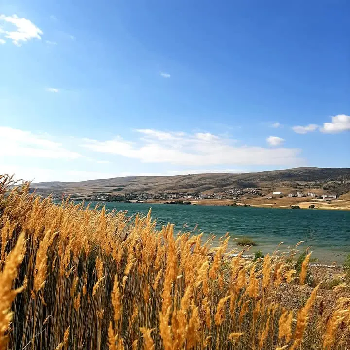 Gölova Camping Area — Sivas — küçük resim 10