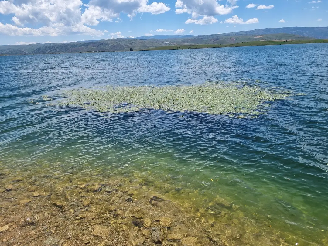 Gölova Camping Area — Sivas — küçük resim 2