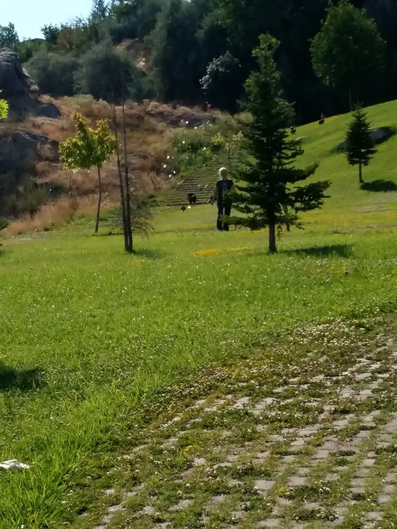 Sivas picnic park — Sivas — küçük resim 2