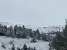 Selçuk Al Hatıra Ormanı