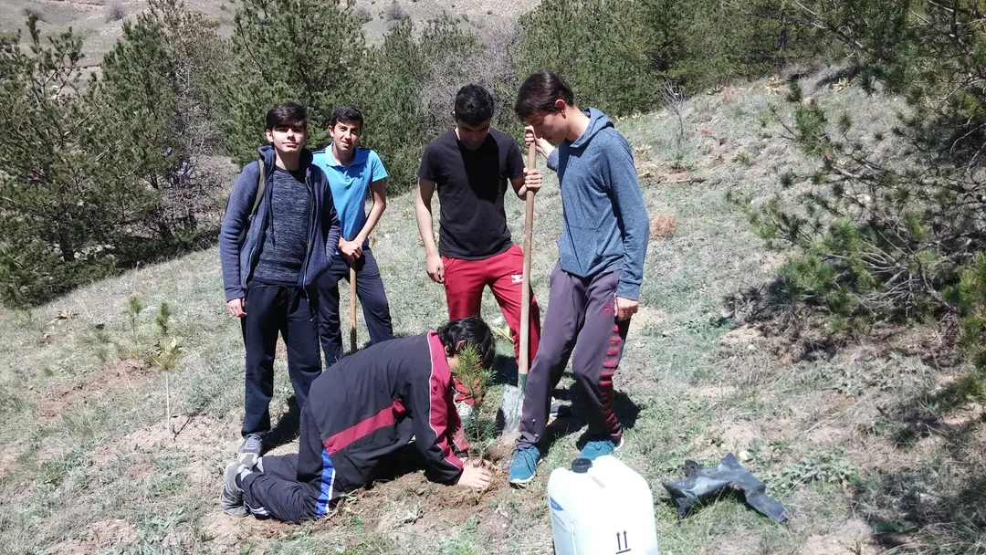 Selçuk Al Hatıra Ormanı — Sivas — küçük resim 7