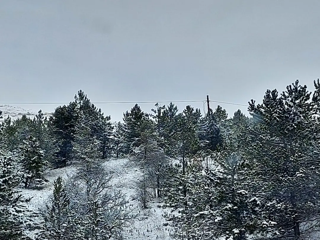 Selçuk Al Hatıra Ormanı — Sivas — küçük resim 6