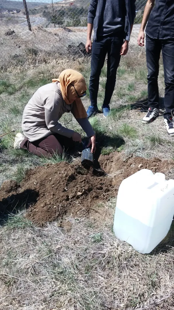 Selçuk Al Hatıra Ormanı — Sivas — küçük resim 5