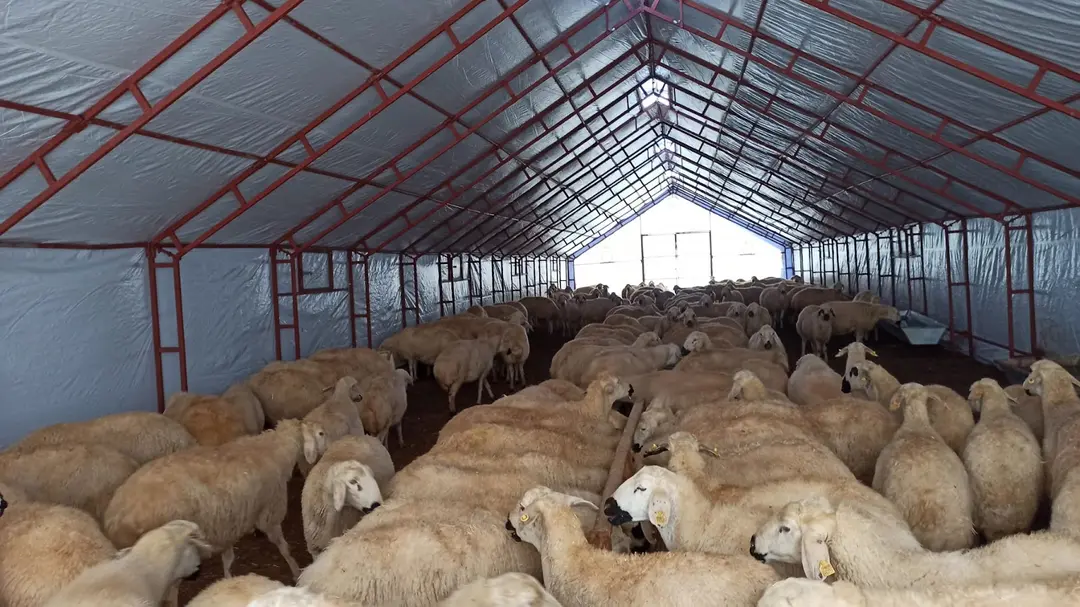 Yöre Tent animal tent production point sivas — Sivas — küçük resim 4