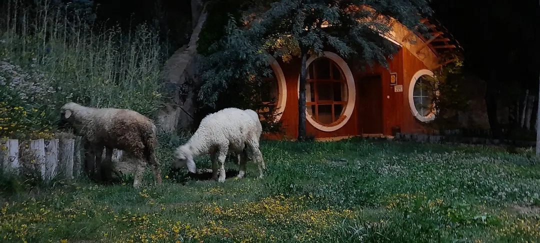 Masal Yamaç hotel café restaurant — Sivas — küçük resim 6