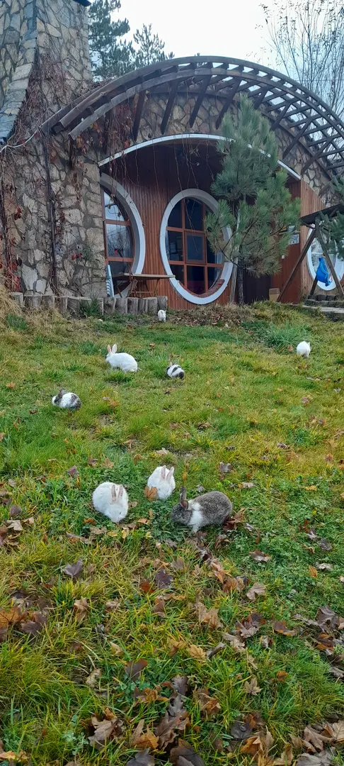 Masal Yamaç hotel café restaurant — Sivas — küçük resim 9