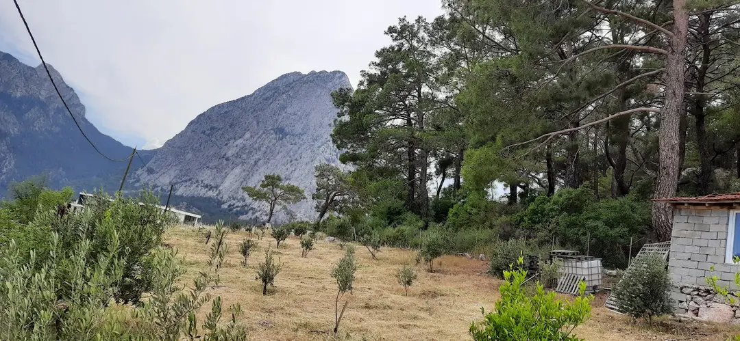 Mutlu Camping Nuri Öğretmenin Yeri — Antalya — küçük resim 5