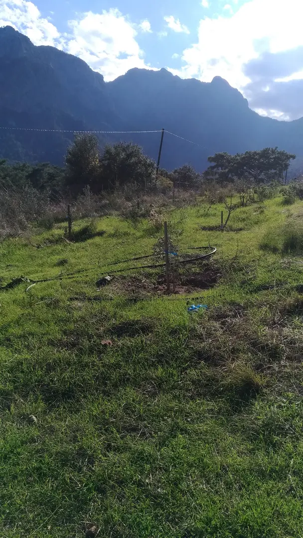 Mutlu Camping Nuri Öğretmenin Yeri — Antalya — küçük resim 9