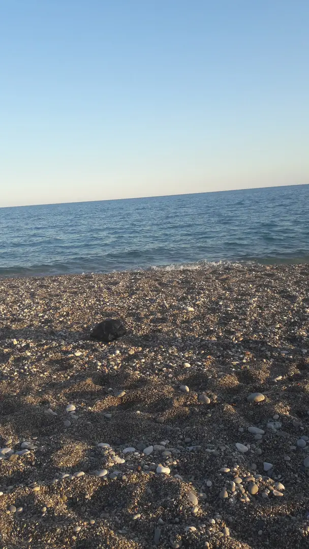 Mutlu Camping Nuri Öğretmenin Yeri — Antalya — küçük resim 6