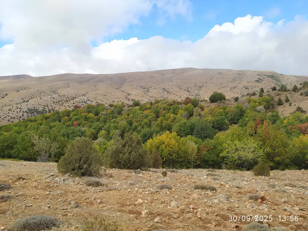 Dağ Evi Bezinler — Tokat — küçük resim 7
