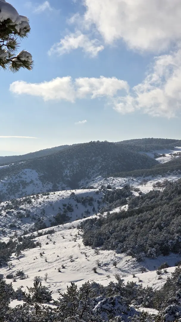Topçam Yaylası Mesire Alanı — Tokat — küçük resim 7