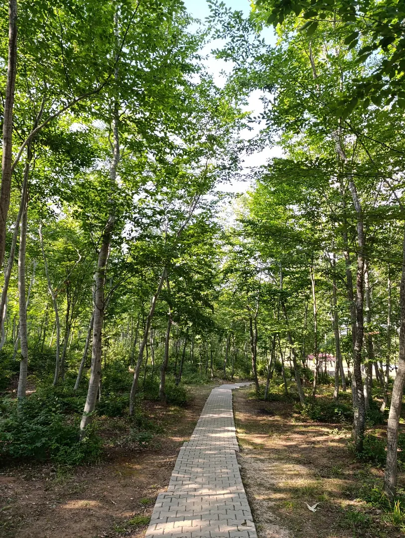 Eze Village Recreation Area — Tokat — küçük resim 5