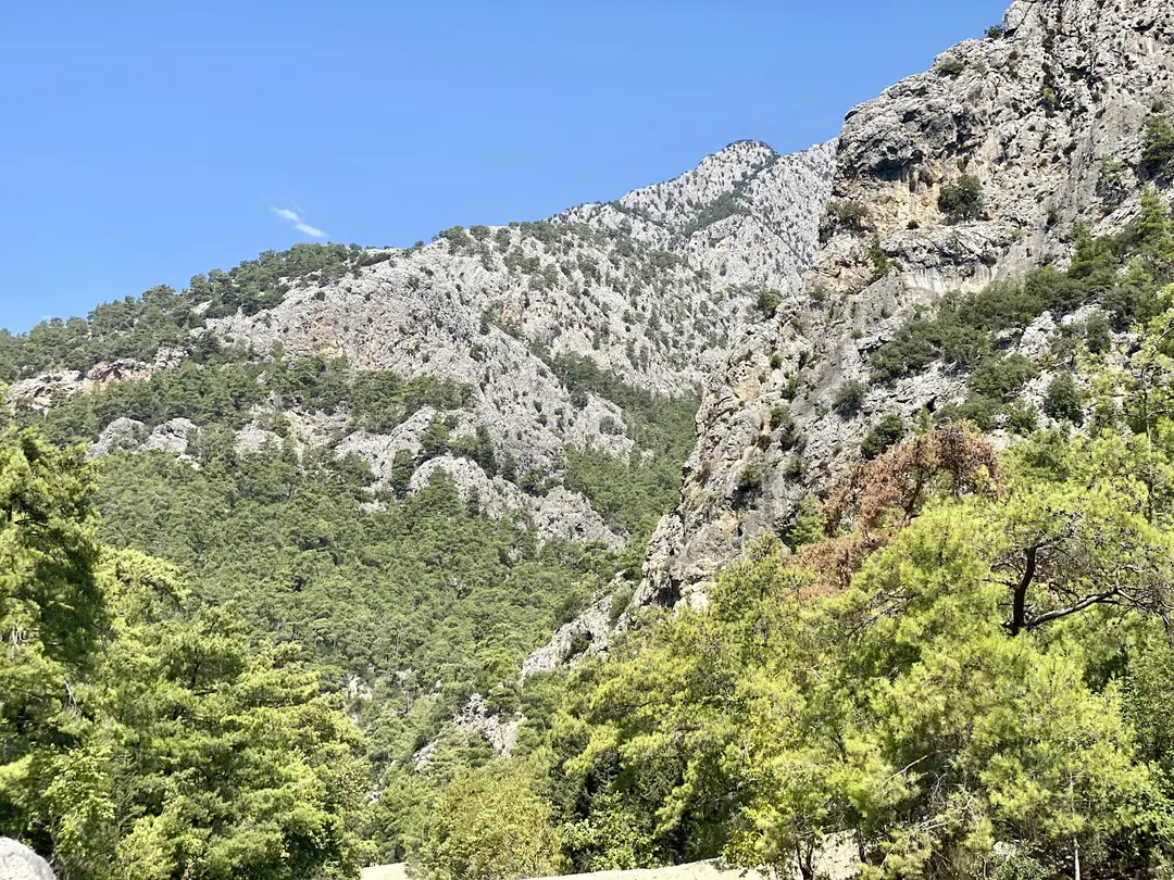 Mandalina Camping Beldibi — Antalya — küçük resim 8