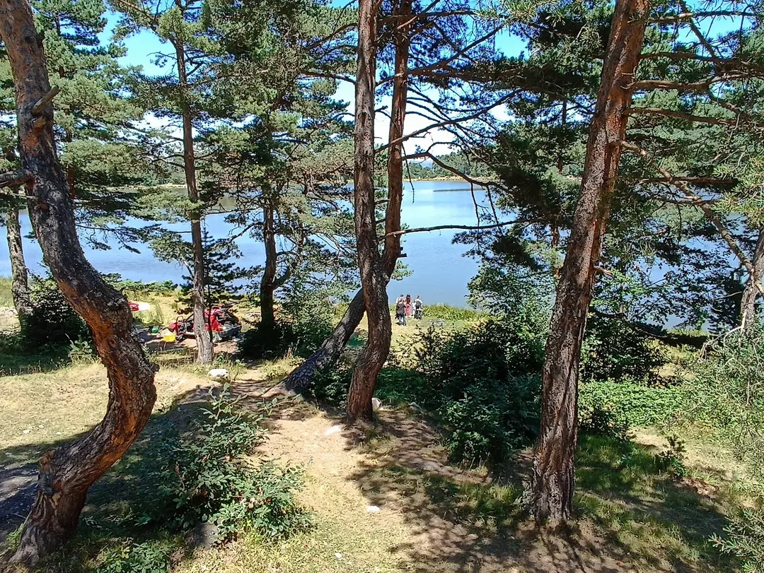 Kurt Gölü — Tokat — küçük resim 5