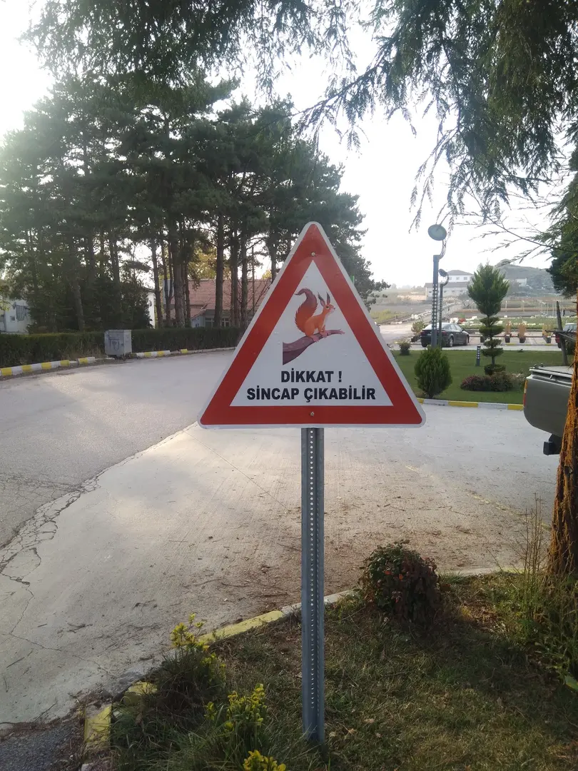 Tokat Milli Parklar — Tokat — küçük resim 3