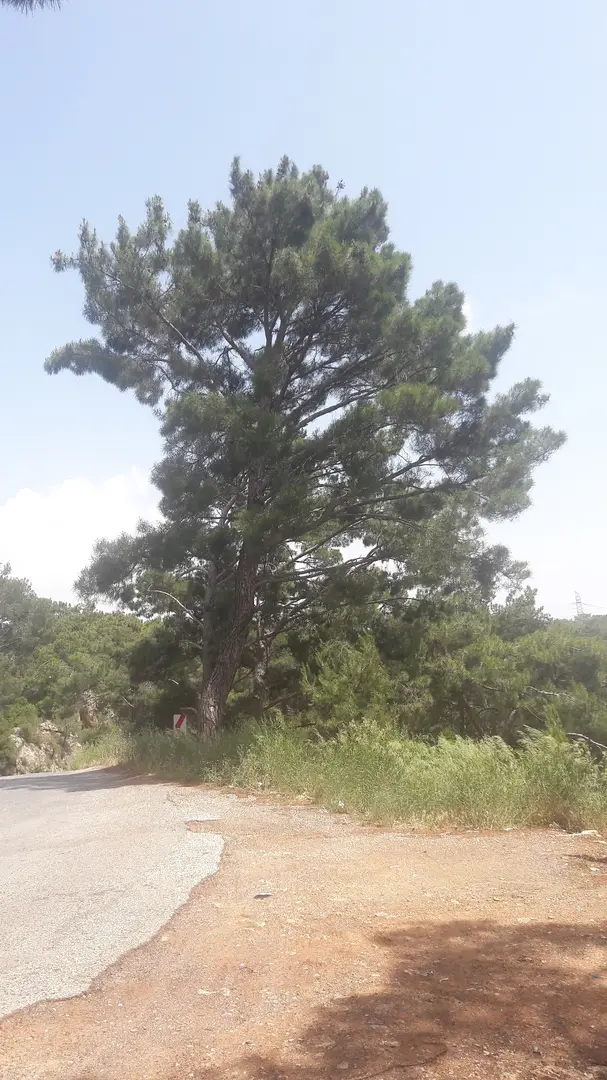 manzara — Antalya — küçük resim 3