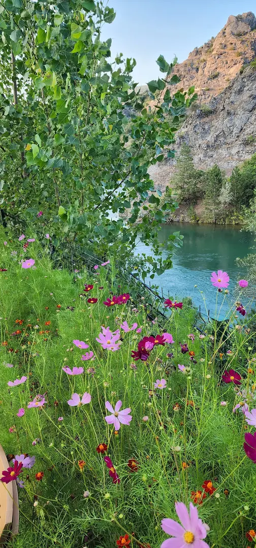 Haremi Garden Bungalov and Restaurant — Tokat — küçük resim 4